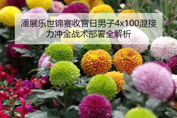 潘展乐世锦赛收官日男子4x100混接力冲金战术部署全解析
