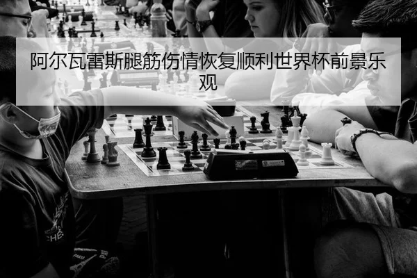 阿尔瓦雷斯腿筋伤情恢复顺利世界杯前景乐观