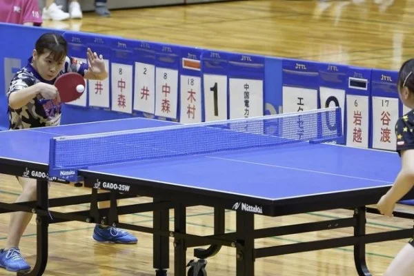 潘展乐短池世界杯冲金前景与波波维奇技术对比解读